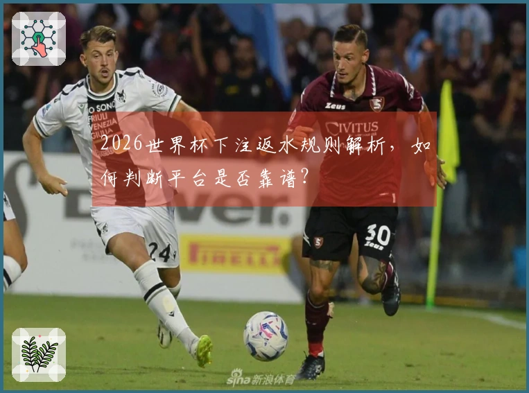 2026世界杯下注返水规则解析，如何判断平台是否靠谱？