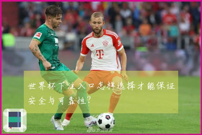 世界杯下注入口怎样选择才能保证安全与可靠性？