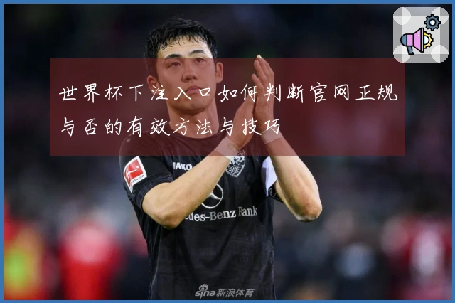 世界杯下注入口如何判断官网正规与否的有效方法与技巧