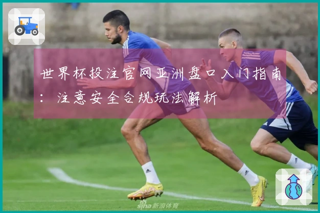 世界杯投注官网亚洲盘口入门指南：注意安全合规玩法解析