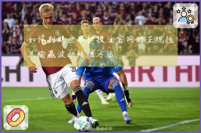 如何判断世界杯投注官网的正规性及输赢波动处理方法