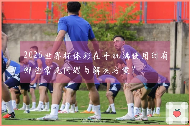 2026世界杯体彩在手机端使用时有哪些常见问题与解决方案？