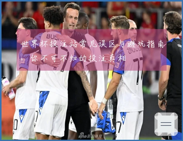 世界杯投注站常见误区与避坑指南，你不可不知的投注真相