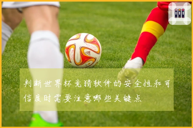 判断世界杯竞猜软件的安全性和可信度时需要注意哪些关键点