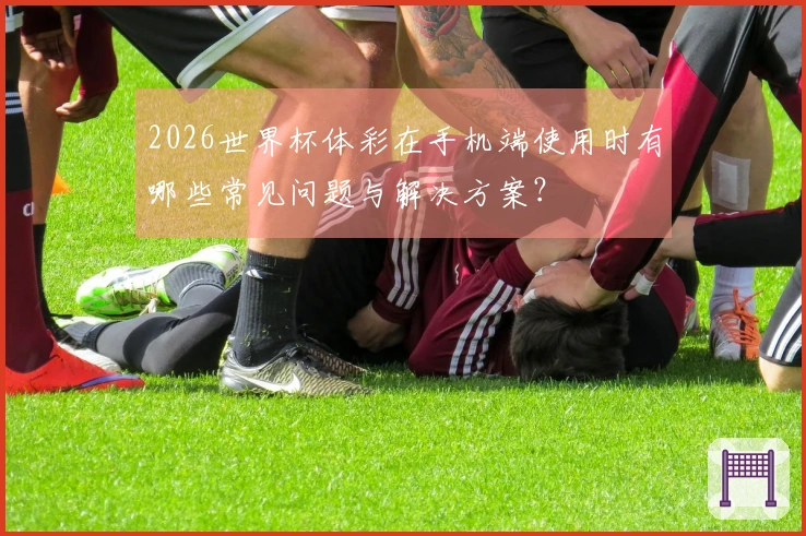 2026世界杯体彩在手机端使用时有哪些常见问题与解决方案？