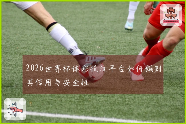 2026世界杯体彩投注平台如何甄别其信用与安全性