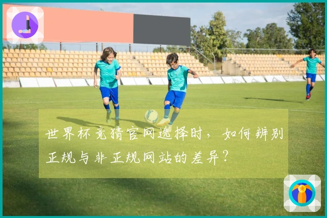 世界杯竞猜官网选择时，如何辨别正规与非正规网站的差异？