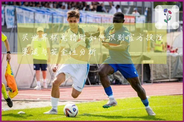 买世界杯竞猜时如何识别官方投注渠道与安全性分析
