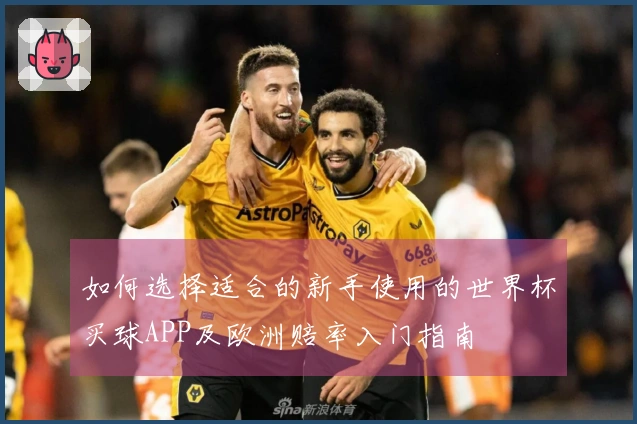 如何选择适合的新手使用的世界杯买球APP及欧洲赔率入门指南