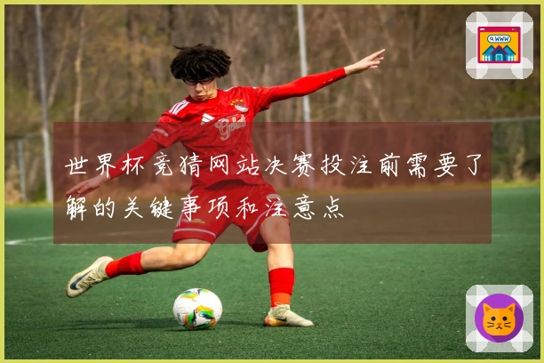 世界杯竞猜网站决赛投注前需要了解的关键事项和注意点