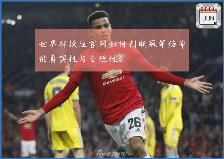 世界杯投注官网如何判断冠军赔率的真实性与合理性？