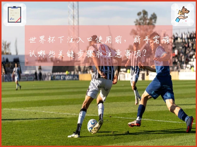 世界杯下注入口使用前，新手需确认哪些关键步骤和注意事项？