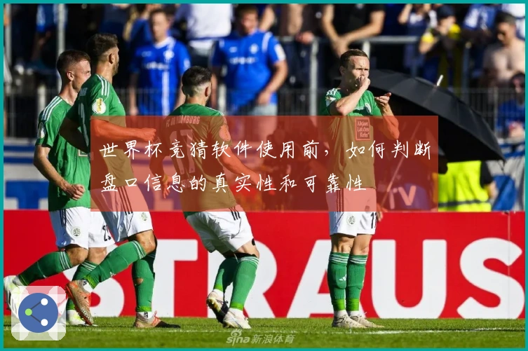 世界杯竞猜软件使用前，如何判断盘口信息的真实性和可靠性