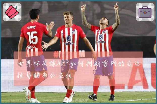 世界杯买球APP如何判断官网的合法性与赔率公正性