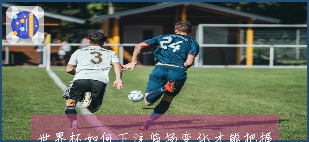 世界杯如何下注临场变化才能把握机会和避坑