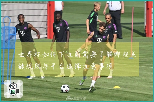世界杯如何下注前需要了解哪些关键规则与平台选择注意事项