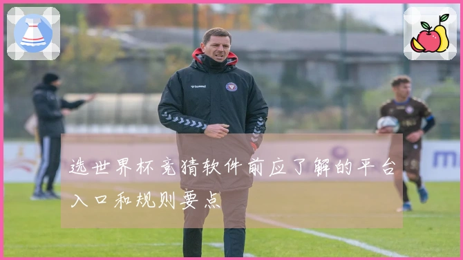 选世界杯竞猜软件前应了解的平台入口和规则要点
