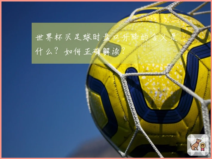 世界杯买足球时盘口升降的含义是什么？如何正确解读？