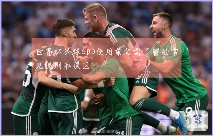 世界杯买球app使用前你需了解的常见规则和误区